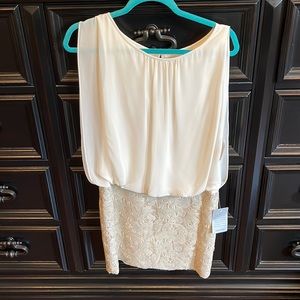 NWT! The Perfect Party Dress!